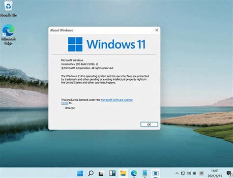 windows11体验版下载 windows11系统体验版更新版下载安装 沧浪系统