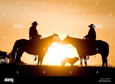 Cowboys On Horses Sunset Silhouettes Stock Photo Alamy