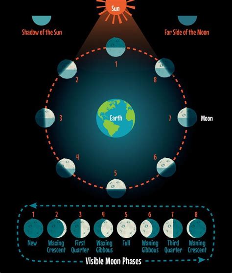 Phases Of The Moon And Ways To Teach Them Moon Phases Earth And