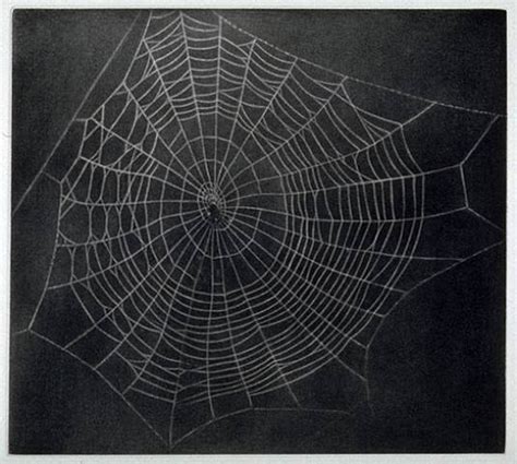 Untitled Spider Web 2000 Vija Celmins