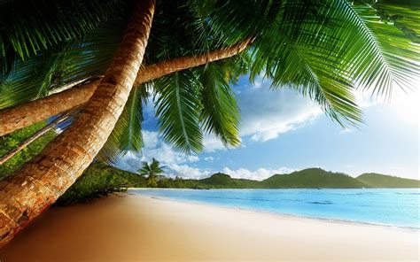 Free Caribbean Beach Wallpapers Wallpaper Cave