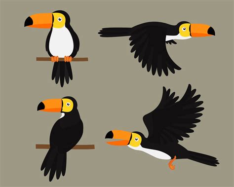 Set Of Toucans Bird Character Cartoon Vector Illustration 560228