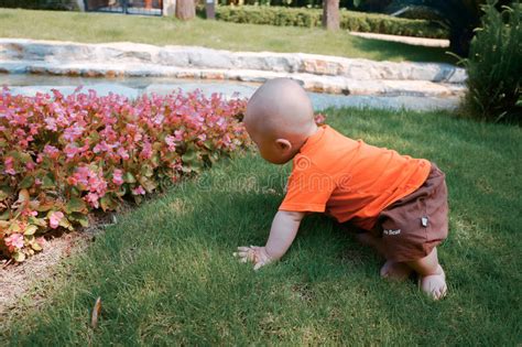 Little Baby Boy On The Grass Stock Photo Image Of Baby Glade 95385792