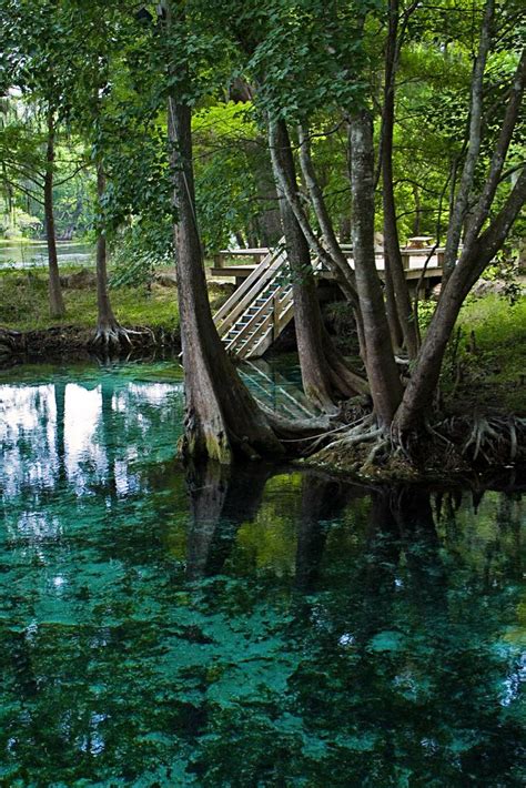 Petersburg, fort lauderdale area, english summer camps orlando. 10 MORE Florida Swimming Holes That Will Make Your Summer ...