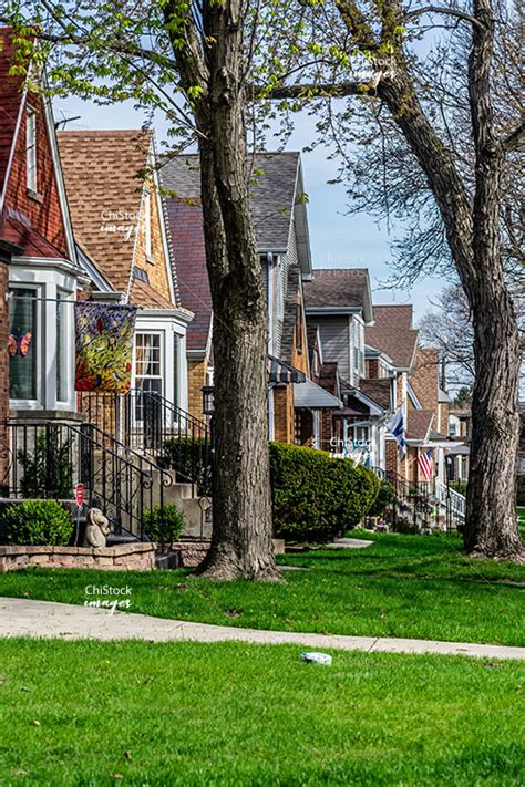 Tree Lined Side Street With Ranch Homes In Norwood Park Chicago Early