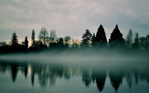 Lake Mist Trees Landscape Wallpapers Hd Desktop And Mobile Backgrounds