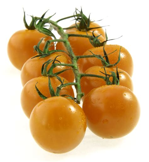 Yellow Tomatoes Varieties