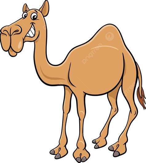 Cartoon Dromedary Camel Comic Animal Character Africa Cheerful Happy