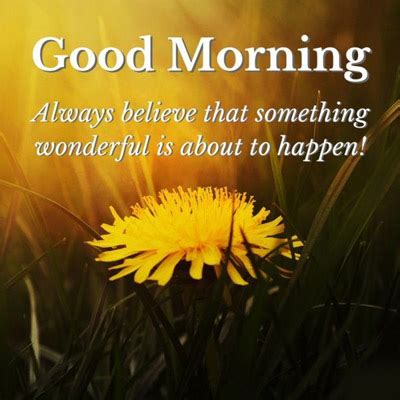 Let me tell you , you will love our best good morning quotes in english in 2020 good morning please take a look.for daily amazing quotes, beautiful messages and lovely images you can visit us any day and everyday. Positive Morning Quotes - Good Morning Images, Quotes ...