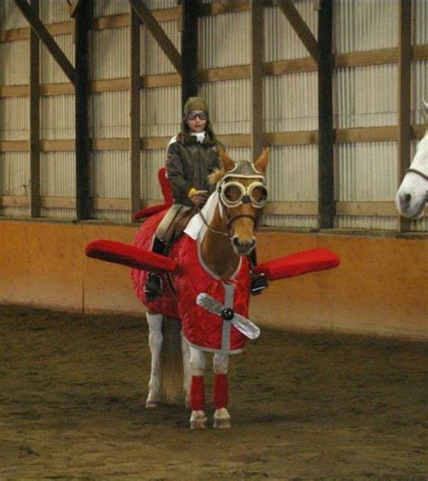22 Costumes That Prove Horses Always Win At Halloween 2 Horse