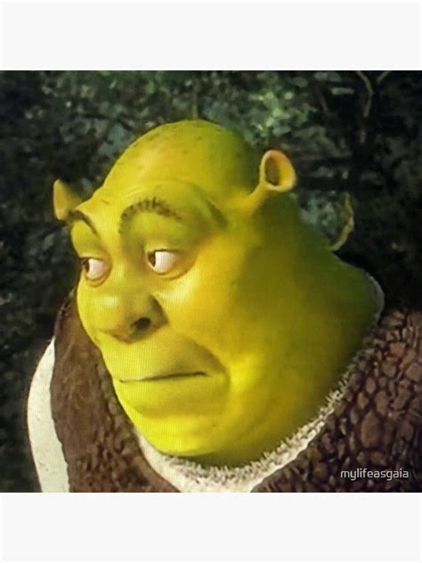 Póster Shrek Cara Meme De Mylifeasgaia Redbubble