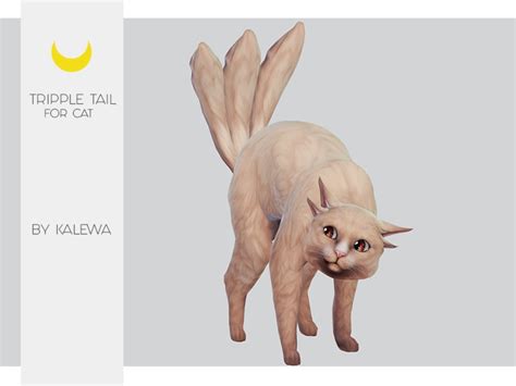 Kalewa As Cat Tail Three Tails