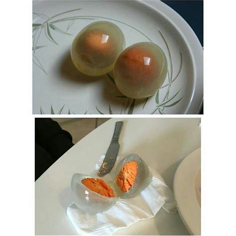 Pin By Eggs Benedictine On Funny Penguin Egg Gentoo Penguin Hard Boiled