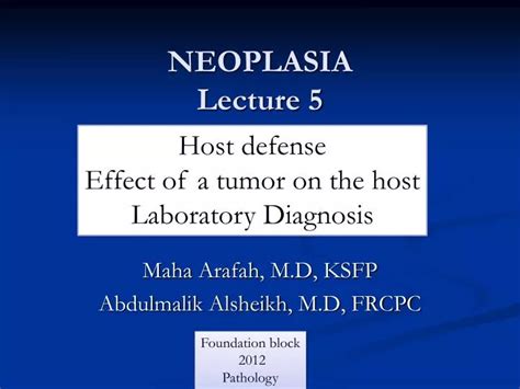 Ppt Neoplasia Lecture 5 Powerpoint Presentation Free Download Id
