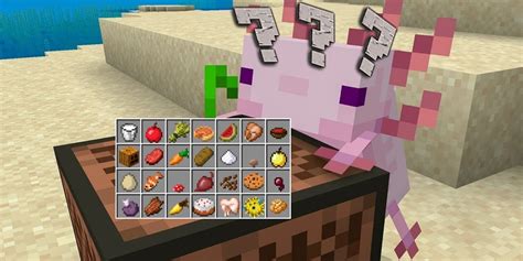 Minecraft What Do Axolotls Eat