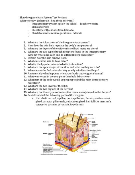 Anatomy And Physiology Chapter 6 Test