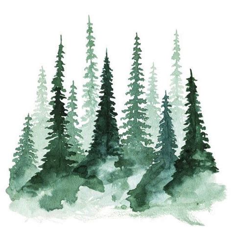 Watercolor Art Of Pine Trees Watercolor Artwork Watercolor Art Tree Art