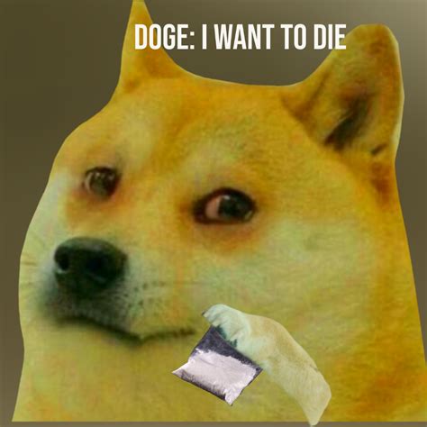 How Can We Cheer Doge Up The Stuff In The Baggy Is A Drug R