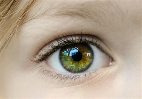 Closeup Photo Of Human Eye · Free Stock Photo