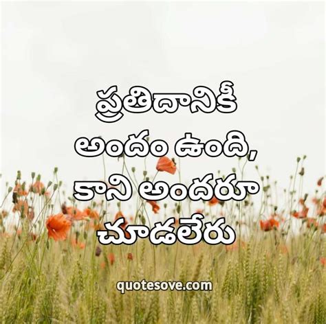 101 Best Telugu Quotes Success Kavithalu Quotesove