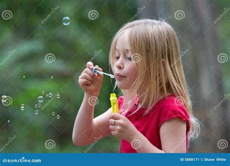 Girl Blowing Bubbles Stock Image Image 5888171