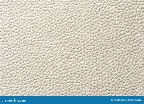 Closeup Of Seamless White Leather Texture Stock Photo Image 43666975