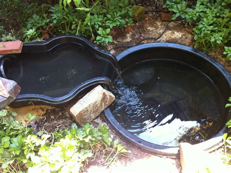 We did not find results for: A Water Gardening Remake! - A Gardener's Delight