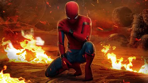 Peter Parker Spider Man Homecoming 4k Hd Movies Wallpapers Hd