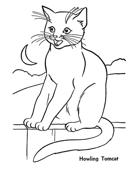 You can use our amazing online tool to color and edit the following mexico coloring pages. Animal Planet Coloring Pages - Coloring Home