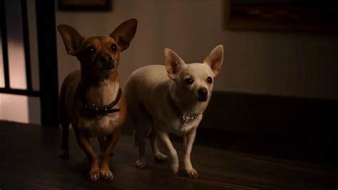 Beverly Hills Chihuahua 2 2011 Papi Jr Gets Saved By Delgado Youtube