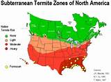 Pictures of Termite Range Map