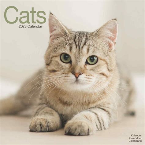 Cats Calendar Cat Calendars Pet Prints Inc