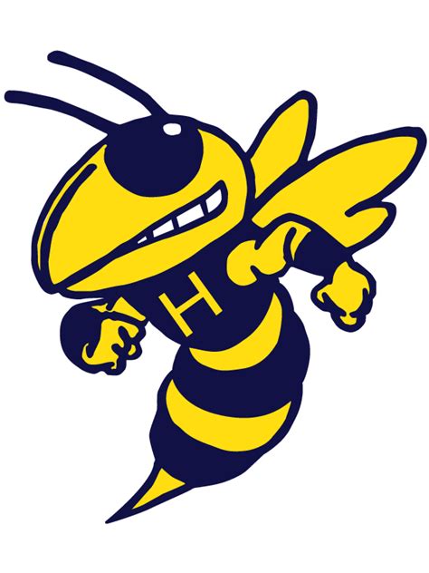 The Hillsdale Hornets Scorestream