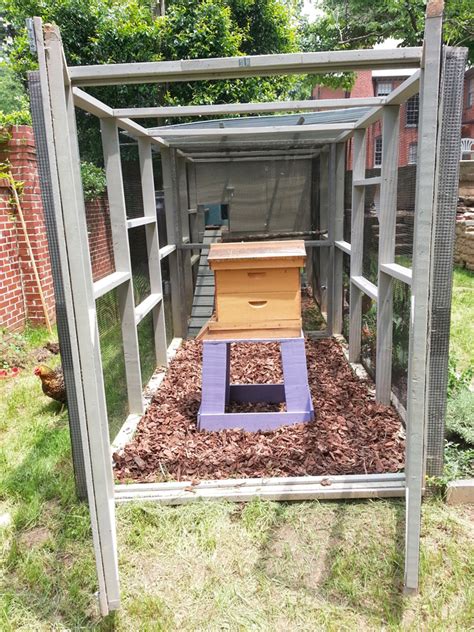 Chicken enclosures must be kept in the backyard and be located at least 10 feet from the property line and 25 feet from neighboring homes. Keeping Bees With Chickens ::: Coop Thoughts Blog