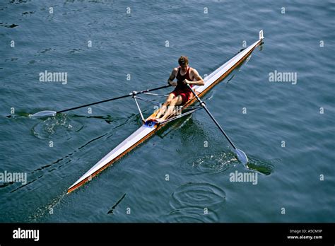 Single Rowing Skiff In Race On River Neckar Heidelberg Germany Stock
