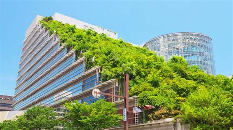 Potret Bangunan Yang Ramah Lingkungan Dan Manfaat Dari Arsitektur Hijau