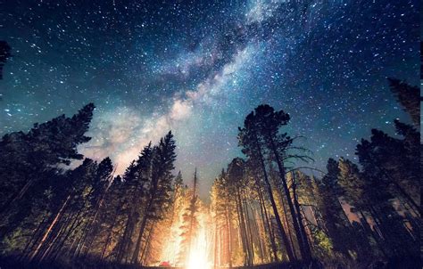 Milky Way Nature Space Starry Night Trees Pics