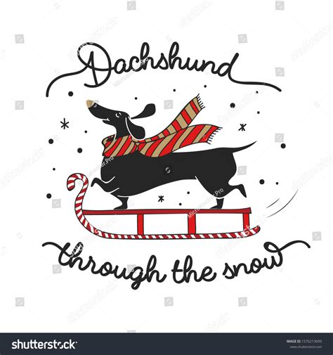 48 Dachshund Through The Snow Images Stock Photos And Vectors Shutterstock