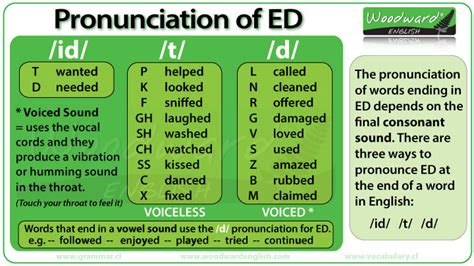 This pronunciation is determined by the final sound of the verb in the base form: 3º CYCLE: SIMPLE PAST : REGULAR VERBS