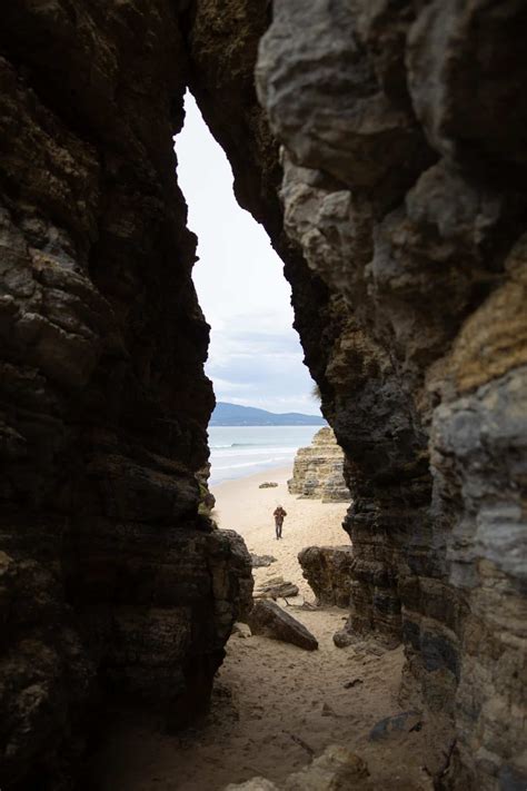 Cape Queen Elizabeth Track Cape Elizabeth Walk Bruny Island Tasmania