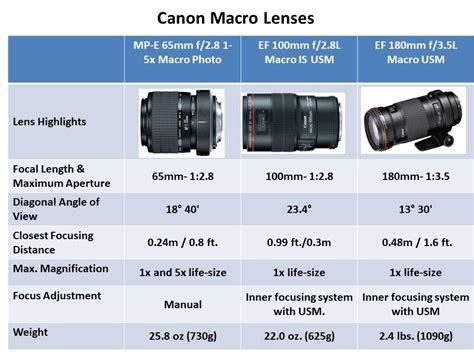 The Macro Lenses Explained - Samples & Recommendations | Macro lens