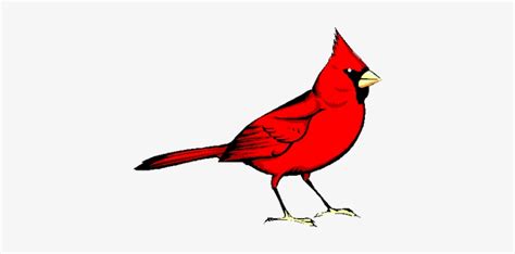 Cardinal Clip Art Red Bird Transparent Png 400x325 Free Download