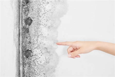 Beyond the immediate allergy symptoms, mold exposure often cause sleep issues, too. A Full Guide On How To Prevent Mold in Your Bedroom - Good ...