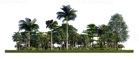 3ds Rendering Image Of 3d Rendering Trees On Grasses Field 9662385 Png