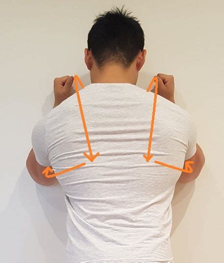 Here Is A Complete List Of Effective Exercises To Fix Your Winged Scapula Use The Exact Same