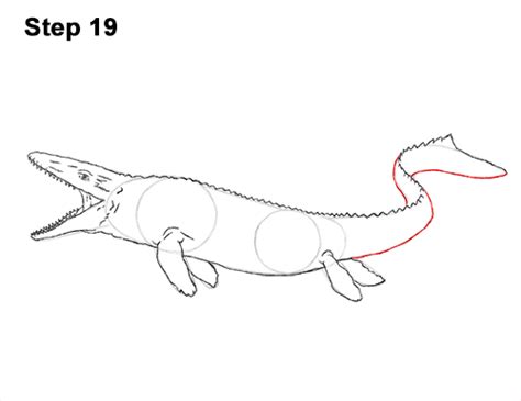 Learn how to draw a mosasaurus from jurassic world. How to Draw Mosasaurus