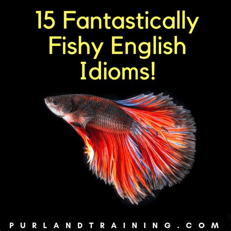 15 Fantastically Fishy English Idioms