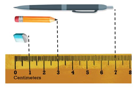 Pair The Objects With Their Lengths In Centimeters