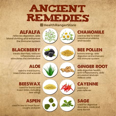 Ancient Remedies Remedies Herbalism Health Remedies