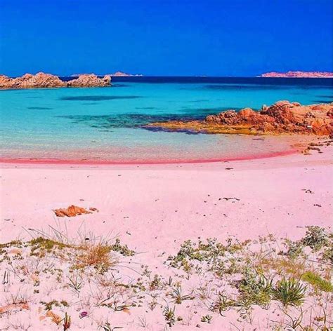 The Pink Beach Of Budelli Sardinia Rpics